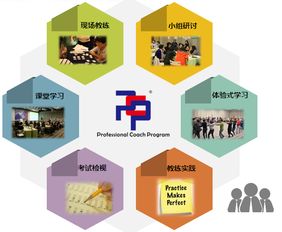 想成為企業青睞的教練？這門網絡技術認證課不容錯過