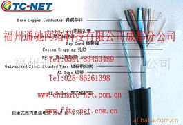 福州通馳網絡科技通訊電纜產品列表與網絡信息處理解決方案